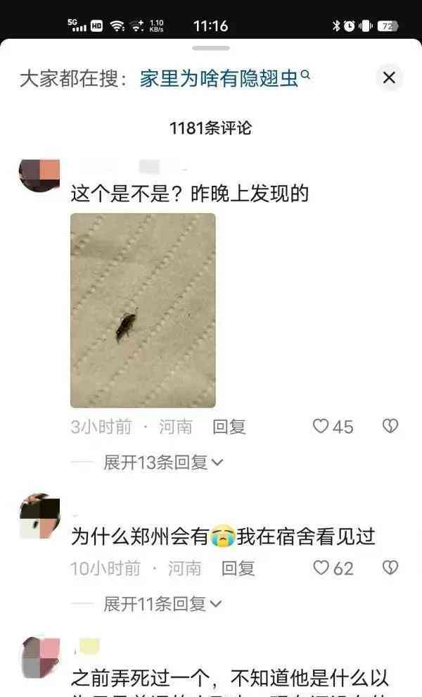 城市躲不过的夏季噩梦-隐翅虫悄袭,皮肤留下明显痕迹的热搜话题