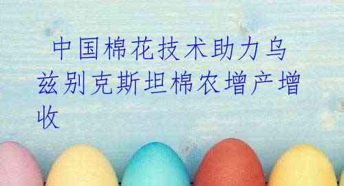 中国棉花技术助力乌兹别克斯坦棉农增产增收