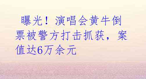  曝光！演唱会黄牛倒票被警方打击抓获，案值达6万余元 