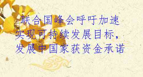 联合国峰会呼吁加速实现可持续发展目标,发展中国家获资金承诺