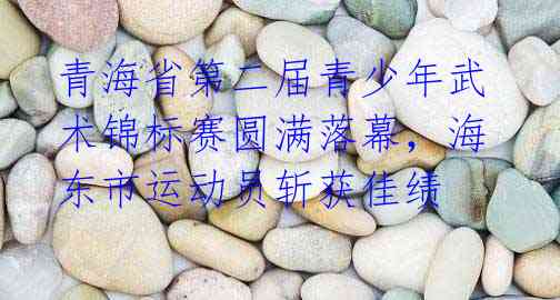 青海省第二届青少年武术锦标赛圆满落幕,海东市运动员斩获佳绩