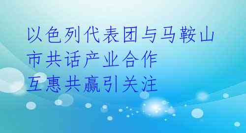 以色列代表团与马鞍山市共话产业合作 互惠共赢引关注