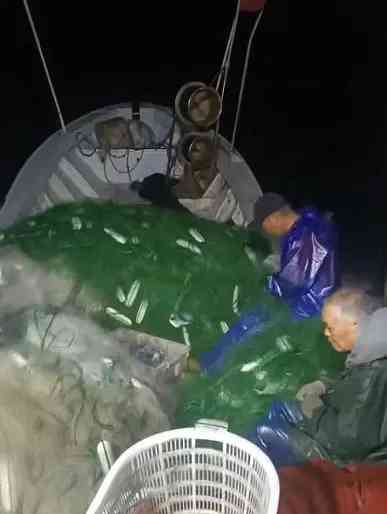又托龟哥的福!象山渔民捕获150公斤重棱皮龟
