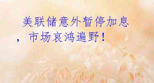美联储意外暂停加息,市场哀鸿遍野!