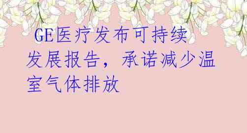  GE医疗发布可持续发展报告，承诺减少温室气体排放 