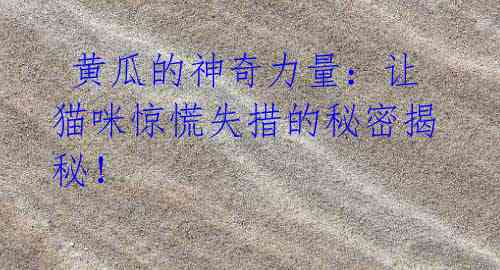 黄瓜的神奇力量:让猫咪惊慌失措的秘密揭秘!