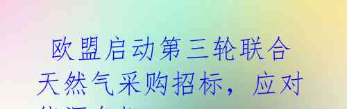  欧盟启动第三轮联合天然气采购招标，应对能源危机 