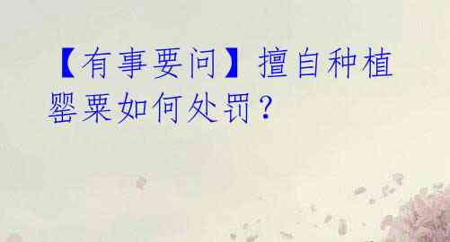 【有事要问】擅自种植罂粟如何处罚?