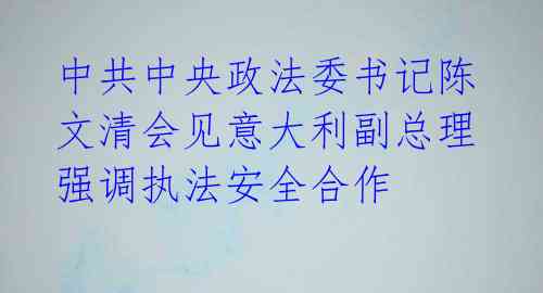 中共中央政法委书记陈文清会见意大利副总理 强调执法安全合作