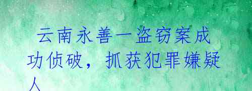  云南永善一盗窃案成功侦破，抓获犯罪嫌疑人 