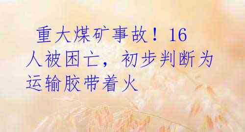 重大煤矿事故!16人被困亡,初步判断为运输胶带着火