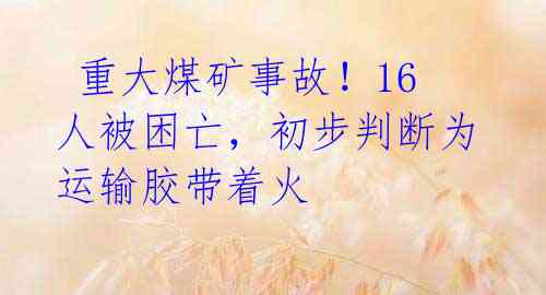  重大煤矿事故！16人被困亡，初步判断为运输胶带着火 