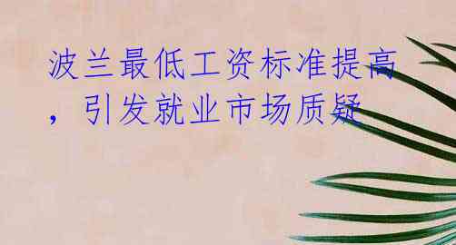 波兰最低工资标准提高,引发就业市场质疑