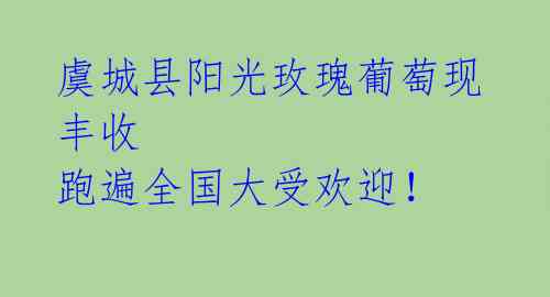 虞城县阳光玫瑰葡萄现丰收 跑遍全国大受欢迎！ 