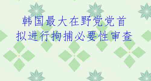  韩国最大在野党党首拟进行拘捕必要性审查