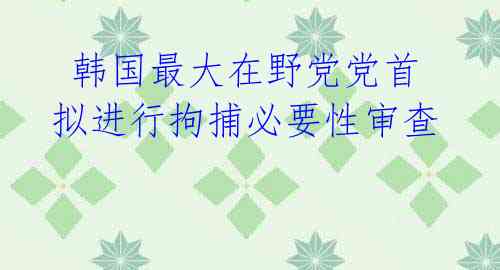  韩国最大在野党党首拟进行拘捕必要性审查 