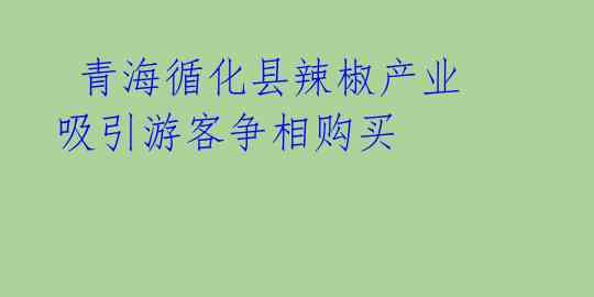 青海循化县辣椒产业吸引游客争相购买