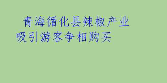  青海循化县辣椒产业吸引游客争相购买 