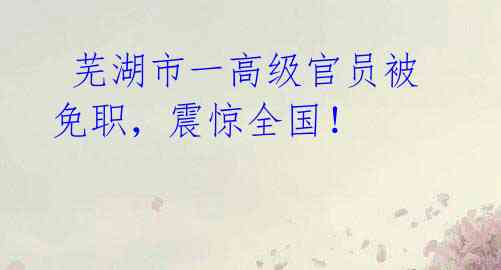 芜湖市一高级官员被免职,震惊全国!