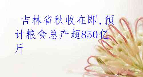  吉林省秋收在即,预计粮食总产超850亿斤 