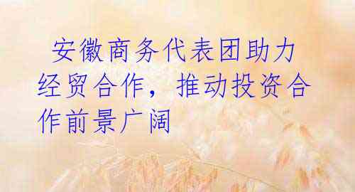 安徽商务代表团助力经贸合作,推动投资合作前景广阔