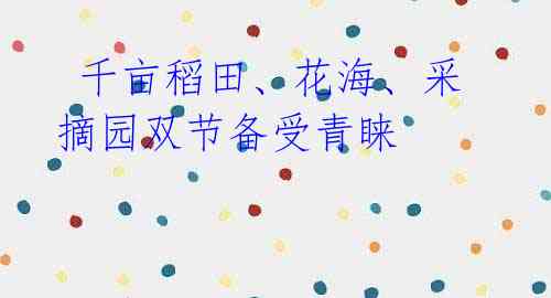 千亩稻田、花海、采摘园双节备受青睐