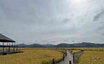 通化:山川壮丽,美酒畅销的“葡萄酒之都”