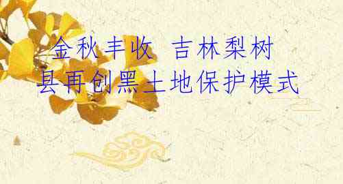 金秋丰收 吉林梨树县再创黑土地保护模式