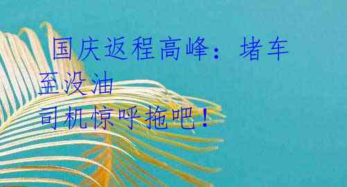 国庆返程高峰:堵车至没油 司机惊呼拖吧!