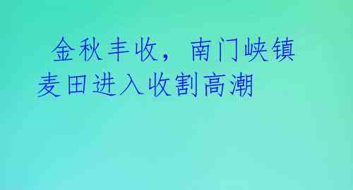 金秋丰收,南门峡镇麦田进入收割高潮