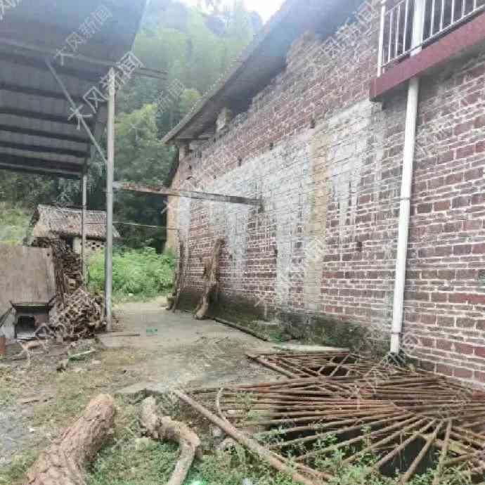 中秋夜衡阳邻居悲剧,男子枪击邻家父子