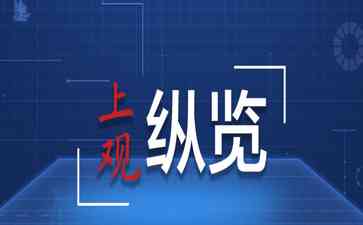  金砖国家与非洲合作 释放非洲大陆自贸区潜力 