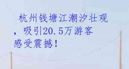  杭州钱塘江潮汐壮观，吸引20.5万游客感受震撼！ 