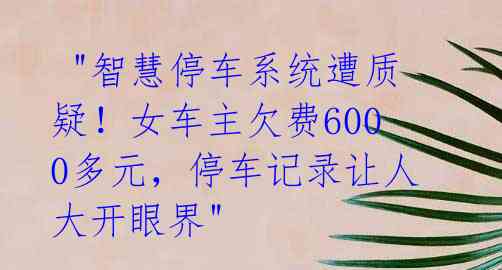  "智慧停车系统遭质疑！女车主欠费6000多元，停车记录让人大开眼界" 