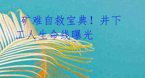 矿难自救宝典!井下工人生命线曝光