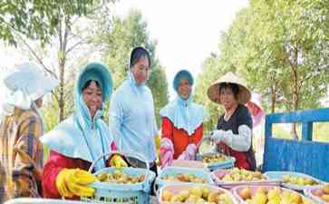 "县域商业发展助力乡村振兴,乡镇消费市场迎来新动力"