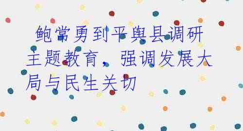 鲍常勇到平舆县调研主题教育,强调发展大局与民生关切