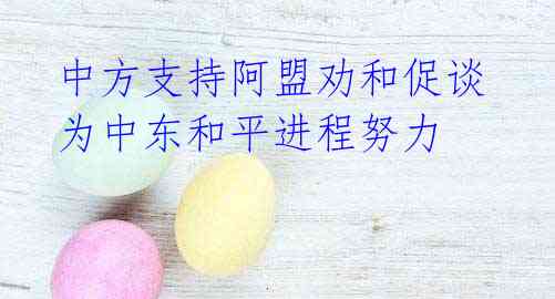 中方支持阿盟劝和促谈 为中东和平进程努力