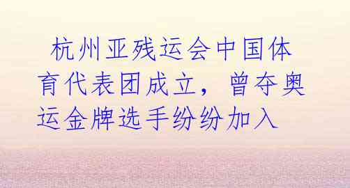 杭州亚残运会中国体育代表团成立,曾夺奥运金牌选手纷纷加入