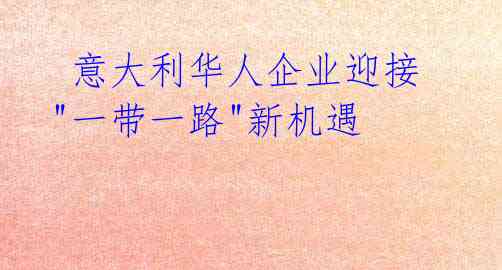  意大利华人企业迎接"一带一路"新机遇