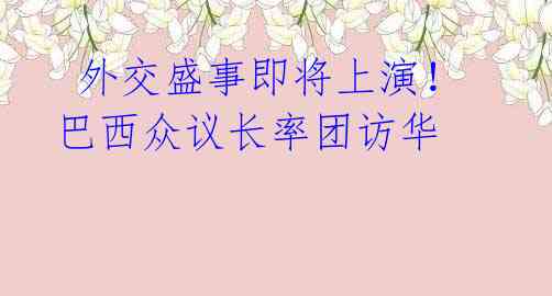  外交盛事即将上演！巴西众议长率团访华
