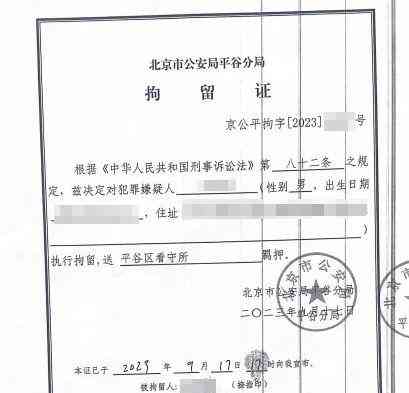  北京平谷区连环放火案成功破获，犯罪嫌疑人已被拘留 