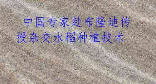 中国专家赴布隆迪传授杂交水稻种植技术