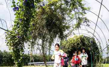 引领时尚潮流 重庆璧山的“艺术乡建”魅力之旅