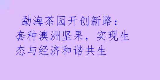  勐海茶园开创新路：套种澳洲坚果，实现生态与经济和谐共生 