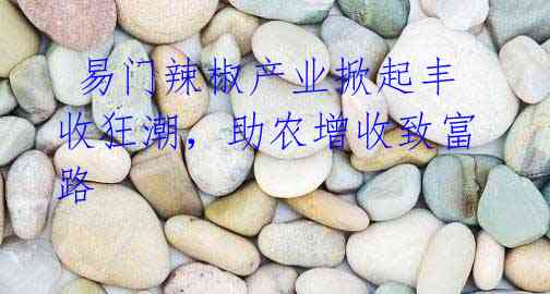 易门辣椒产业掀起丰收狂潮,助农增收致富路