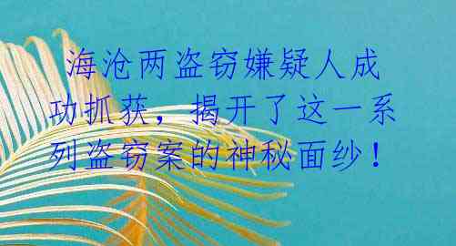 海沧两盗窃嫌疑人成功抓获,揭开了这一系列盗窃案的神秘面纱!