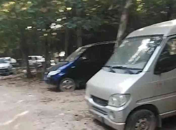 恶意破坏!河南一小树林成车轮胎“地雷区”