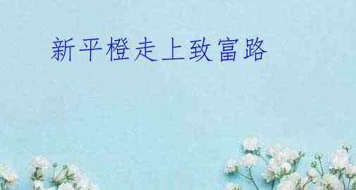 新平橙走上致富路