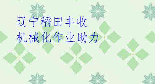 辽宁稻田丰收 机械化作业助力